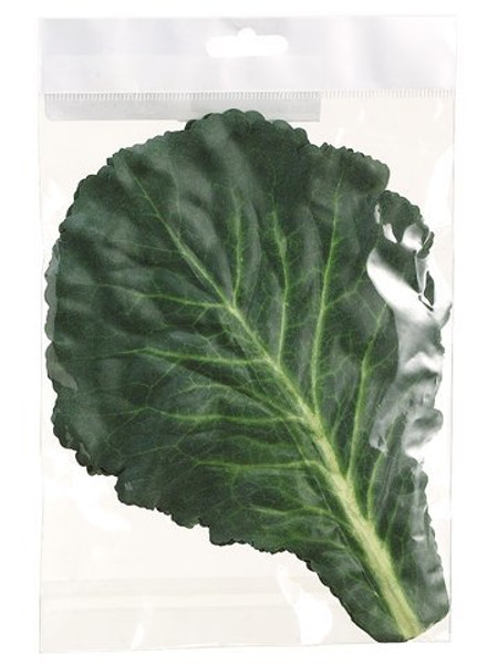 11" Cabbage Leaf (5 Ea/Bag) Green Cream 12 Pieces ZKC930-GR/CR