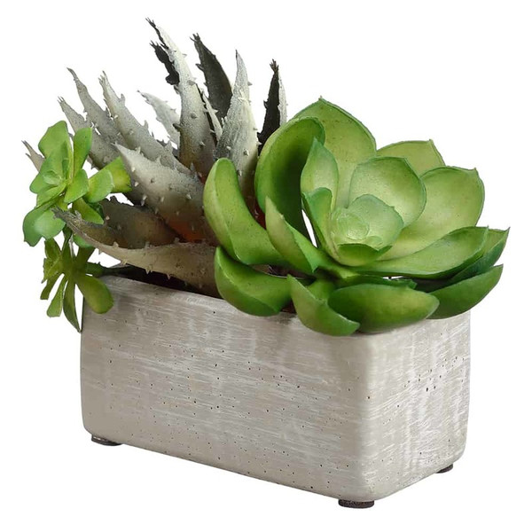 6" Agave/Echeveria In Terra Cotta Pot Green 4 Pieces ZQS935-GR