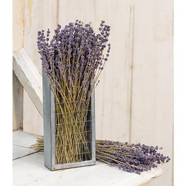 Dried Lavender Bunch 13" FBC21 By CWI Gifts