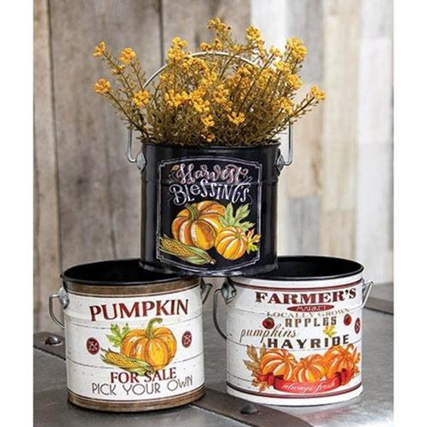 *Harvest Blessings Bucket 3 Asstd. (Pack Of 3) G2489170 By CWI Gifts