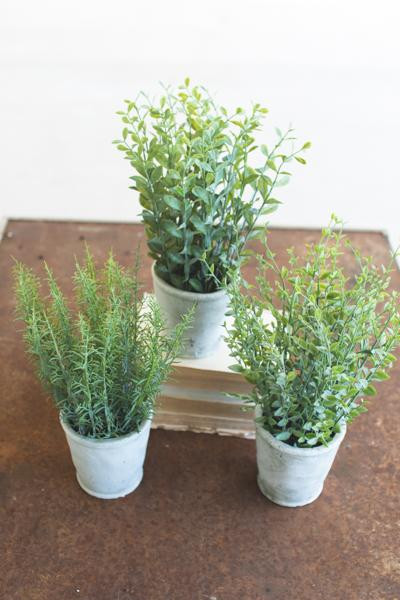 Set Of Three Artifial Herbs In Cement Pots CNL1183 By Kalalou
