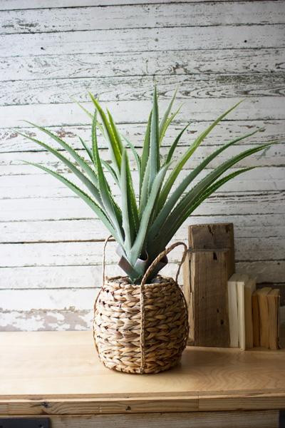 Artificial Aloe In A Woven Pot CNL1219 By Kalalou