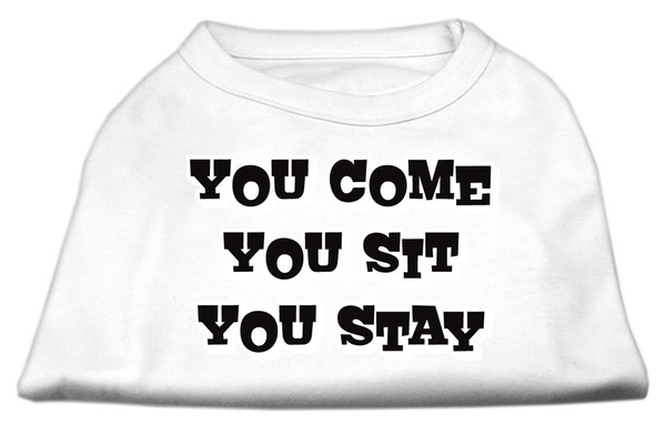 You Come, You Sit, You Stay Screen Print Shirts White L 51-51 LGWT By Mirage