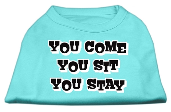 You Come, You Sit, You Stay Screen Print Shirts Aqua Xl 51-51 XLAQ By Mirage
