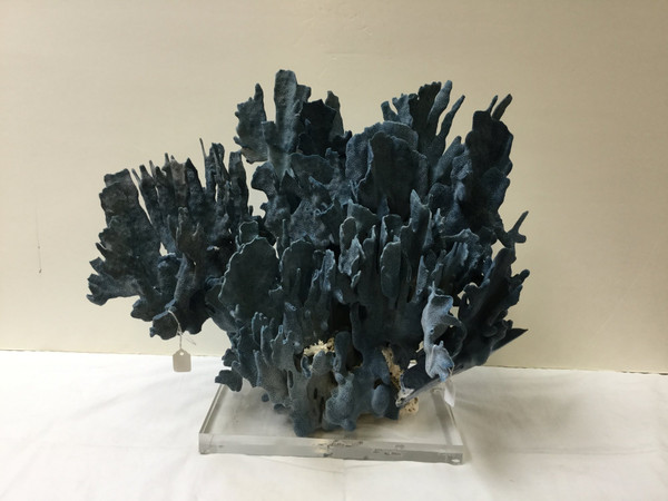 Blue Coral Creation On Acrylic Base 8073-CRT By Legend Of Asia