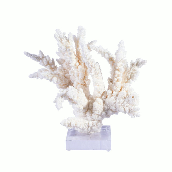 Branch Coral 10-12 Inch On Acrylic Base 8075-M By Legend Of Asia