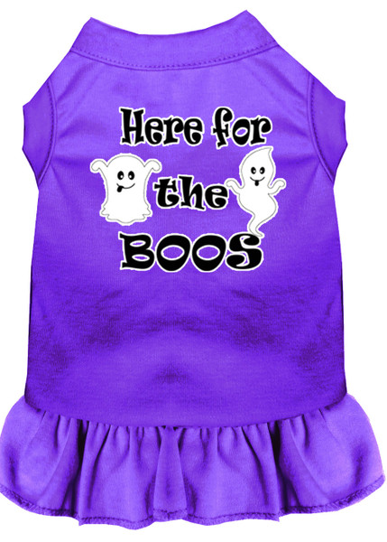 Here For The Boos Screen Print Dog Dress Purple 4X (22) 58-64 PR4X By Mirage