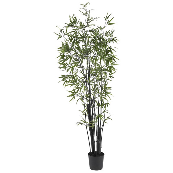 6' Black Bamboo Silk Tree (2 Thick Trunks) 5164 By Nearly Natural