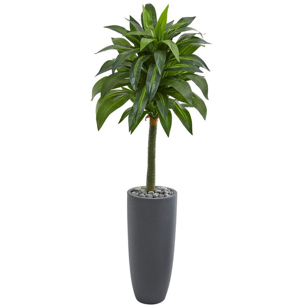 5' Dracaena Artificial Plant In Gray Planter 9266 By Nearly Natural