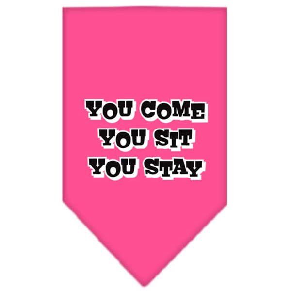 You Come, You Sit, You Stay Screen Print Bandana Bright Pink Large 66-74 LGBPK By Mirage