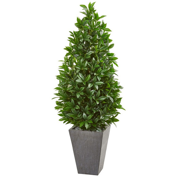 57" Bay Leaf Cone Topiary Tree In Slate Planter Uv Resistant (Indoor/Outdoor) 9369 By Nearly Natural
