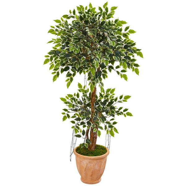 53" Variegated Ficus Artificial Tree In Terra Cotta Planter 9390 By Nearly Natural