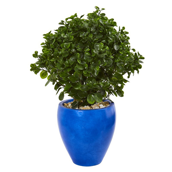 32" Peperomia Artificial Plant In Blue Planter Uv Resistant (Indoor/Outdoor) 9470 By Nearly Natural