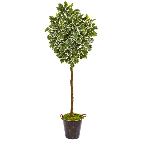 77" Variegated Aralia Artificial Tree In Metal Planter 9563 By Nearly Natural