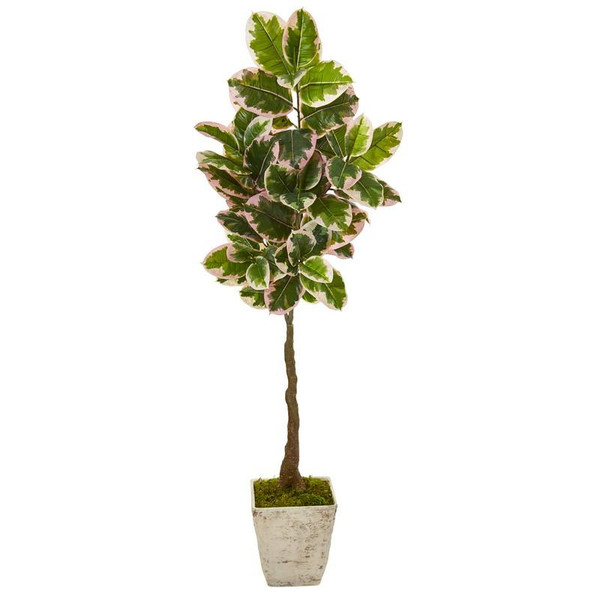 69" Variegated Rubber Leaf Artificial Tree In Country White Planter (Real Touch) 9672 By Nearly Natural