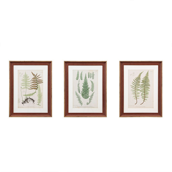 Martha Stewart Lady Fern Collection Single Mat Framed Graphic 3 Piece Set MT95G-0003