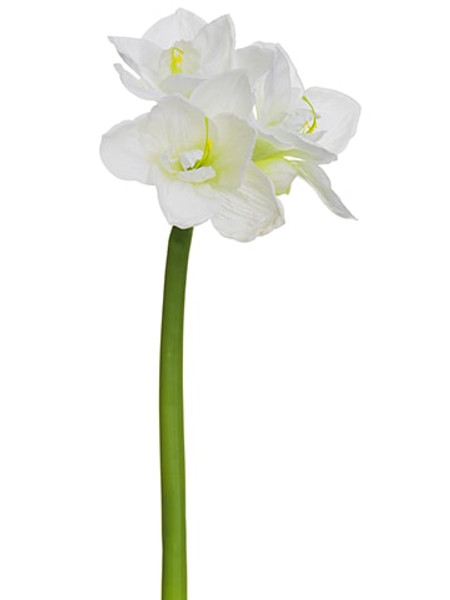 29" Amaryllis Spray Cream (Pack Of 12) FSA651-CR By Silk Flower