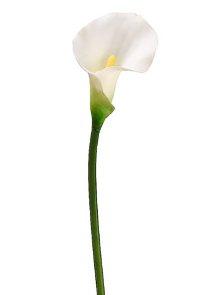 21" Pvc Calla Lily Stem White (Pack Of 12) FSL500-WH By Silk Flower