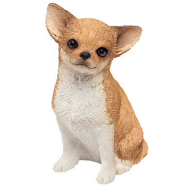 Sandicast Mid Size Chihuahua Fawn Sculpture Ms200