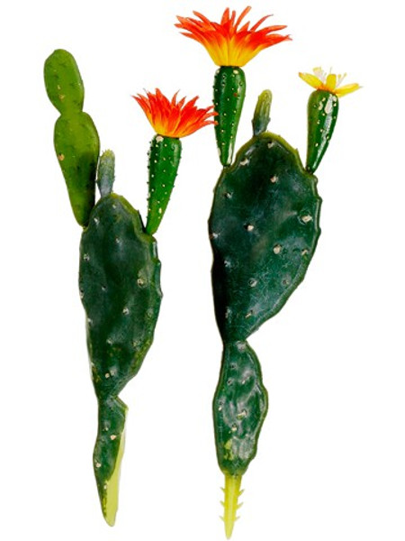 7.75"-8.5" Assorted Prickly Pear Cactus (2 Ea./Set) Green Orange (Pack Of 24) CM1122-GR/OR By Silk Flower