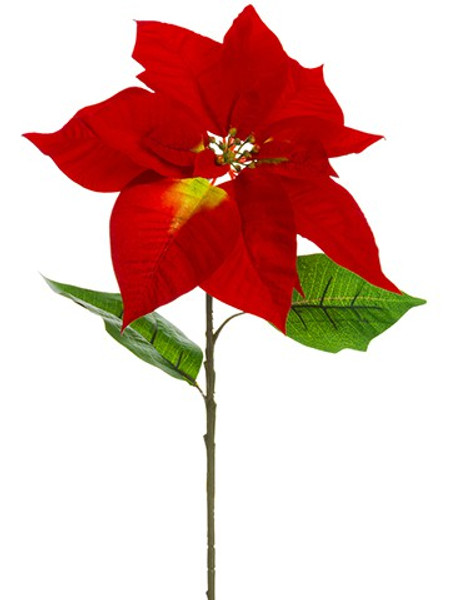 30" Majestic Velvet Poinsettia Spray Red Burgundy (Pack Of 12) XPS690-RE/BU By Silk Flower