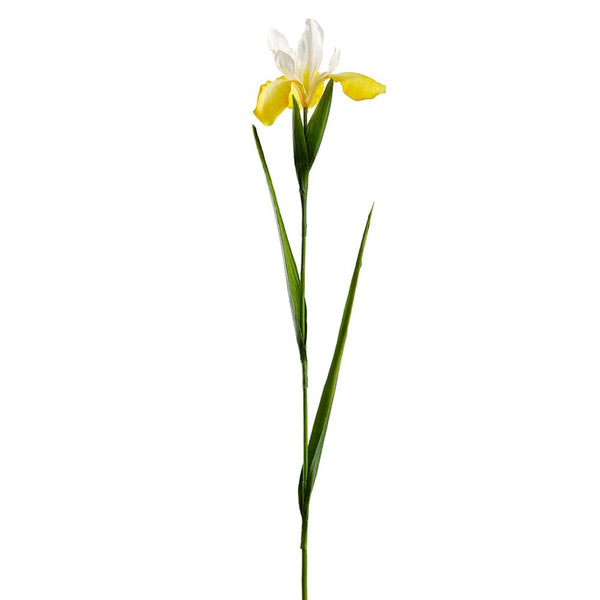 30" Iris Spray Yellow White (Pack Of 12) FSI509-YE/WH By Silk Flower
