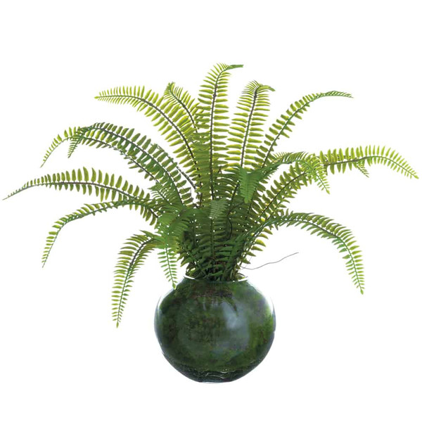 12" Sword Fern Plant In Glass Vase In Re-Shippable Box Green ZQF321-GR By Silk Flower
