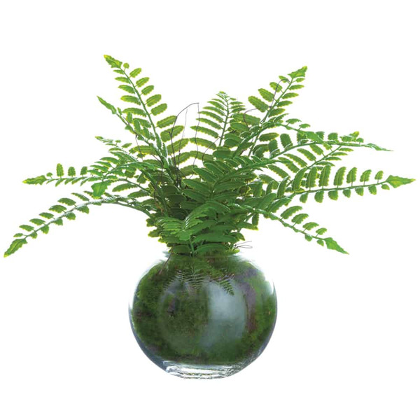 12" Boston Fern Plant In Glass Vase In Re-Shippable Box Green ZQF322-GR By Silk Flower