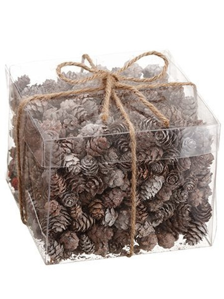 5"H X 6"W X 6"L Pine Cone Assortment In Acetate Box (1.05Lbs) Brown Whitewashed (Pack Of 12) XAL794-BR/WW By Silk Flower