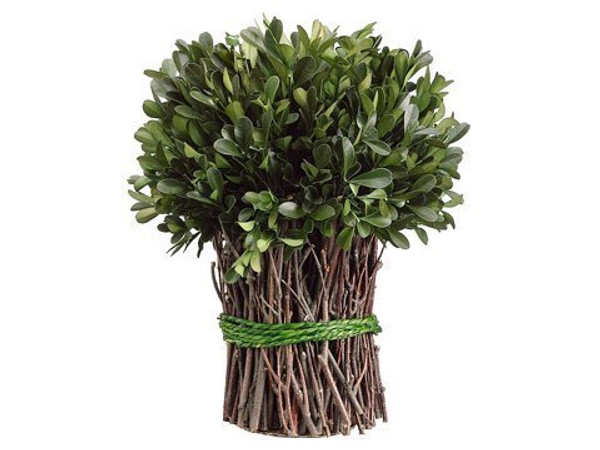 10.2" Preserved Boxwood Bundle Green 4 Pieces APS230-GR
