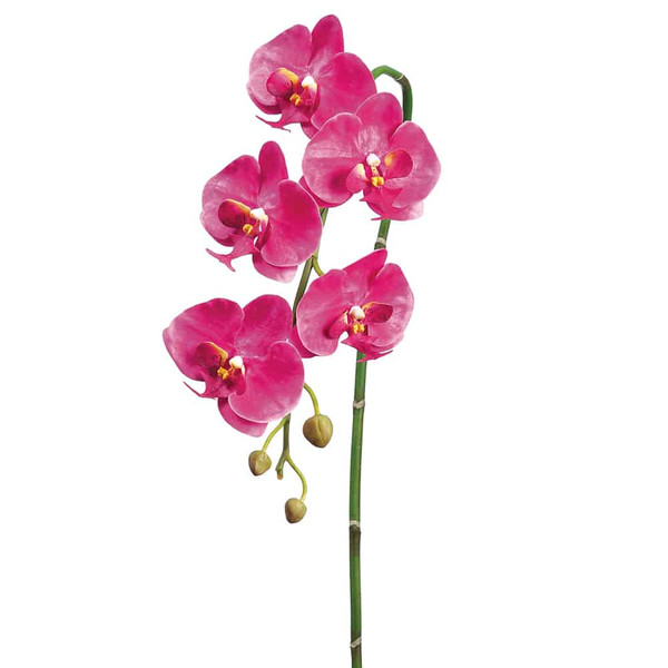 36" Phalaenopsis Orchid Spray With 5 Flowers And 3 Buds Two Tone Orchid (Pack Of 6) HSO837-OC/TT By Silk Flower