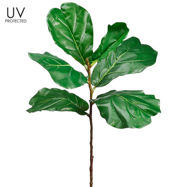 38" Uv Protected Fiddle Leaf Branch Green (Pack Of 6) PSF038-GR By Silk Flower