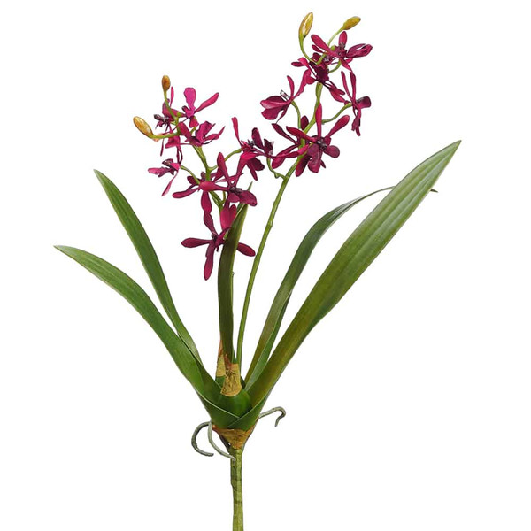 16" Mini Cattleya Orchid Plant Burgundy (Pack Of 12) HSO926-BU By Silk Flower