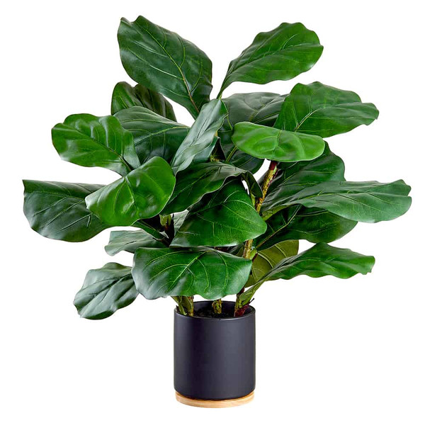 26.5" Fiddle Leaf Plant In Ceramic Pot Green (Pack Of 2) LPF019-GR By Silk Flower