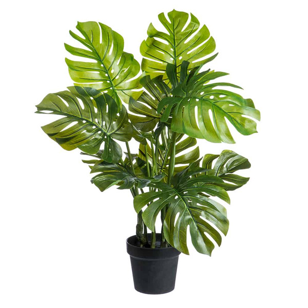 26" Monstera Adansonii Plant With 11 Leaves In Pot Green (Pack Of 2) LPM026-GR By Silk Flower