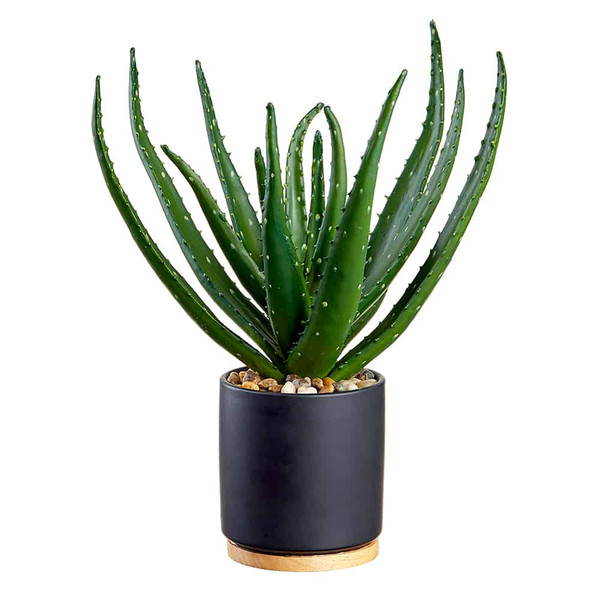 15" Aloe In Ceramic Pot Green (Pack Of 2) LQS832-GR By Silk Flower