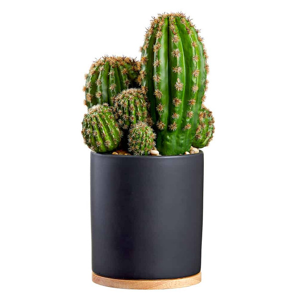 15" Barrel Cactus In Ceramic Pot Green (Pack Of 2) LQS385-GR By Silk Flower