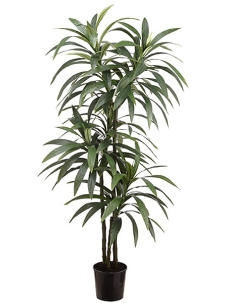 6' Yucca In Pot Green (Pack Of 2) LPY180-GR By Silk Flower