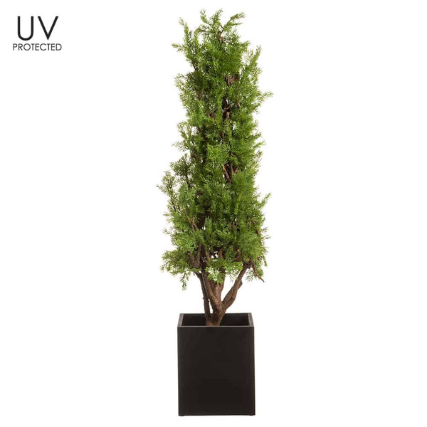 54"H Uv Protected Ming Cone Topiary In Black Planter With Gloss Finish Green LZM230-GR By Silk Flower