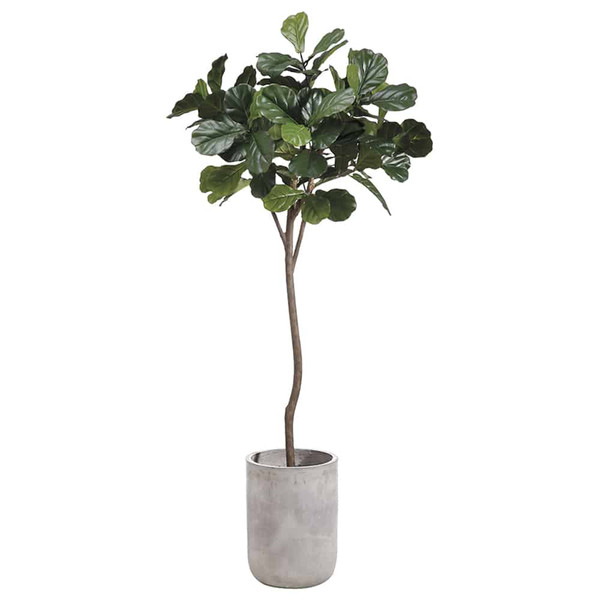 7' Fiddle Leaf Tree In Fiber Cement Planter Green WT4920-GR By Silk Flower