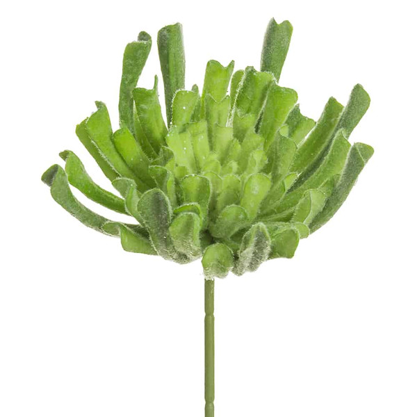 12" Iced Aeonium Pick Green Ice (Pack Of 6) XHK134-GR/IC By Silk Flower