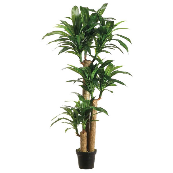 5' Tropical Dracaena Tree X3 With 7 Heads In Pot In Re-Shippable Box Two Tone Gree ZTD755-GR/TT By Silk Flower