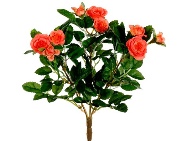 10" Mini Rose Bush X3 Coral 36 Pieces FBR002-CO