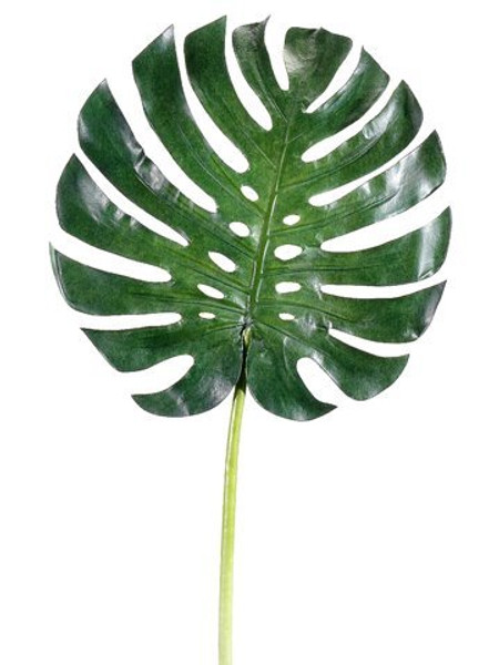 34" Large Monstera Leaf Spray  Green 6 Pieces HSL452-GR