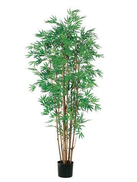 5' Japanese Bamboo Tree X12 With 2400 Leaves In Pot Two Tone Green 2 Pieces LPB051-GR/TT