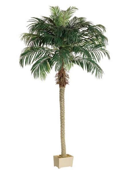 8' Phoenix Palm Tree In Rectangular Plastic Pot  2 Pieces LPP508-