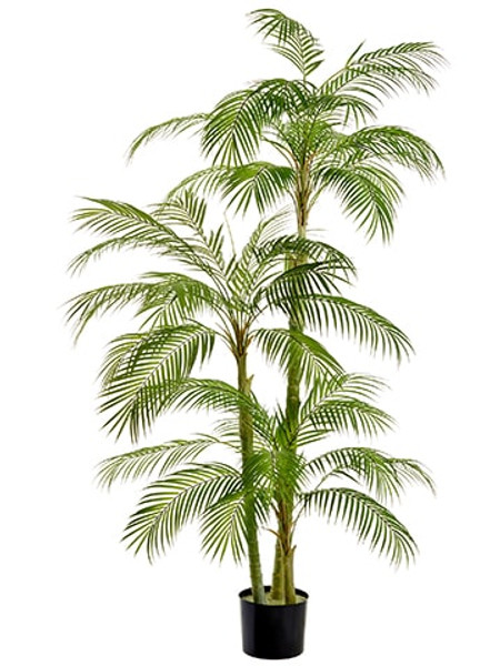 76" Areca Palm Tree In Plastic Nursery Pot Green LTP067-GR