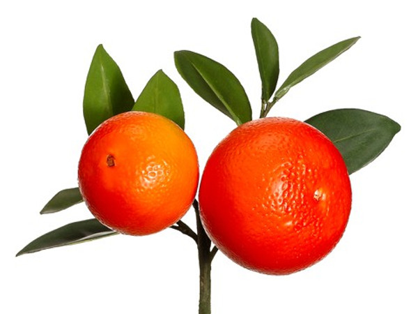 8.5" Orange Pick Orange 12 Pieces VKO151-OR