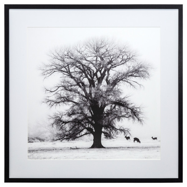 Yosemite Winter’S Morning Fog Iv Wall Art 3220014