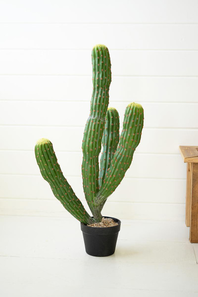 Artificial Multi Trunk Cactus In A Plastic Pot CNL1321 By Kalalou